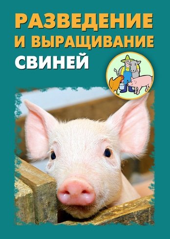 Илья Мельников. Разведение и выращивание свиней