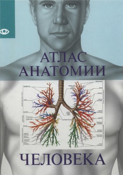 Н.В. Надольская. Атлас анатомии человека