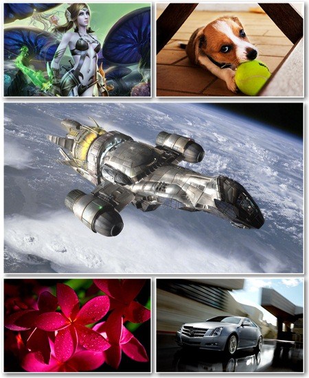 SuperPack Beautiful Mix