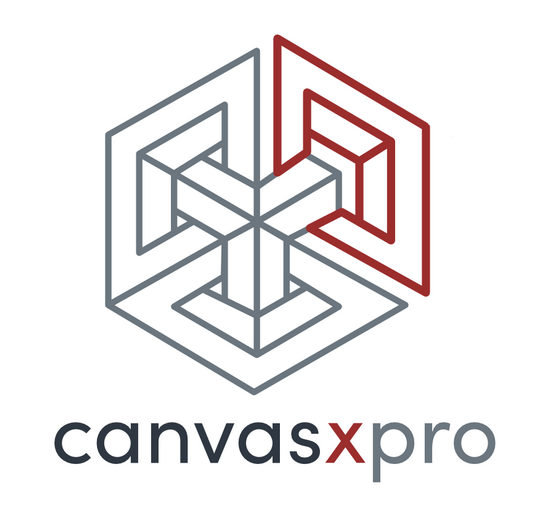 Canvas X Pro 20