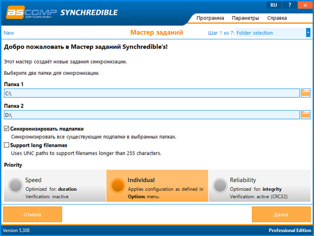 Synchredible Professional Edition 5.308