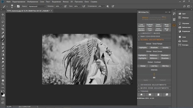 B&W Artisan Pro 1.3.0 for Photoshop