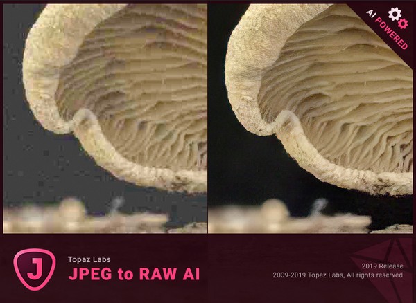 Topaz JPEG to RAW AI 2