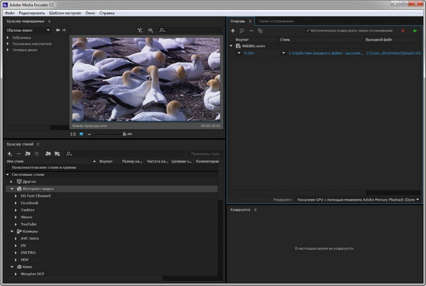 Adobe Media Encoder CC 2015.4 10.4.0.26 by m0nkrus