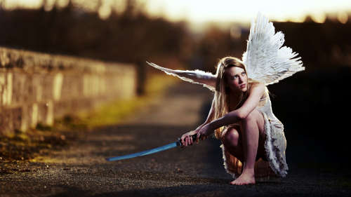 Mixed Wallpapers Collections