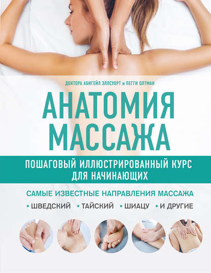 anatomiya-massazha