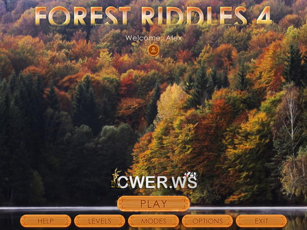 скриншот игры Forest Riddles 4