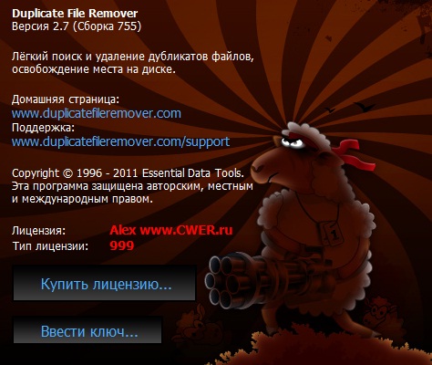 Duplicate File Remover