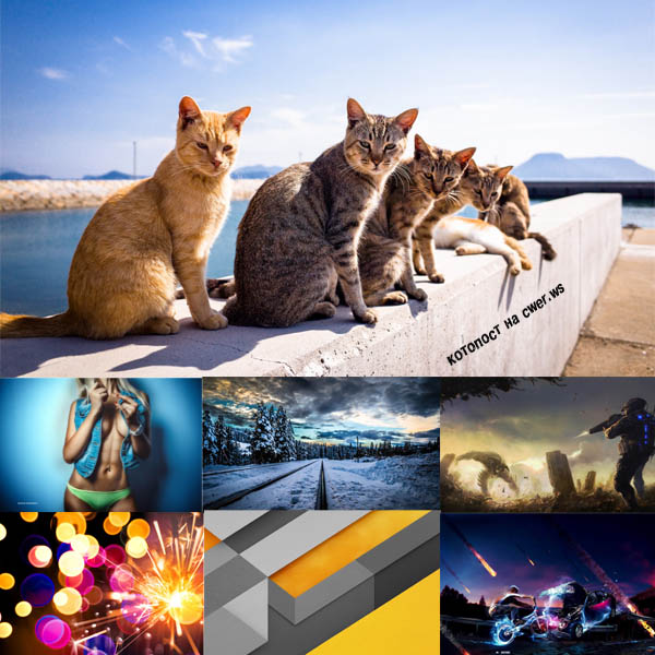 New Mixed HD Wallpapers Pack 355