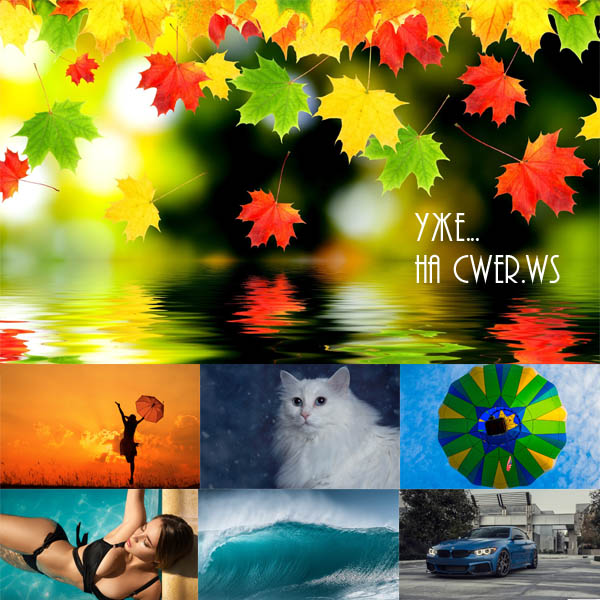 New Mixed HD Wallpapers Pack 314