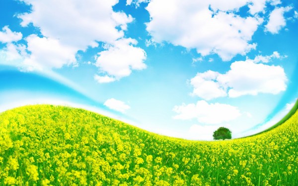 New Mixed HD Wallpapers Pack 238