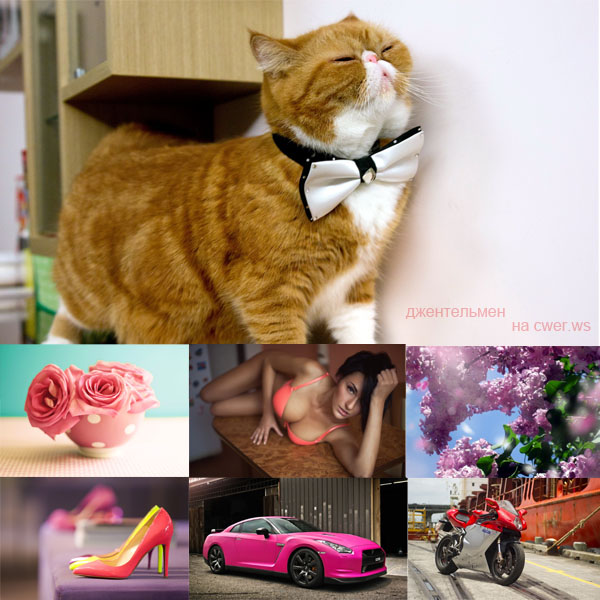 New Mixed HD Wallpapers Pack 272