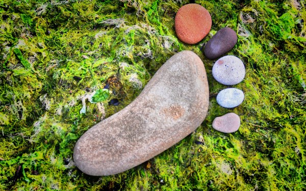 New Mixed HD Wallpapers Pack 280