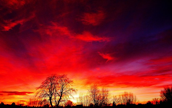 New Mixed HD Wallpapers Pack 295