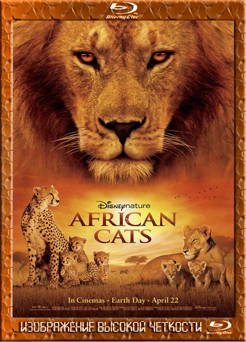 Африканские кошки: Королевство смелости 