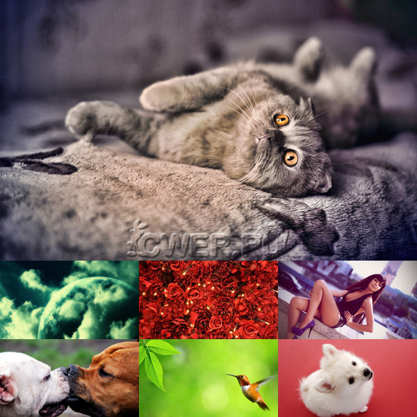 New Mixed HD Wallpapers Pack 38