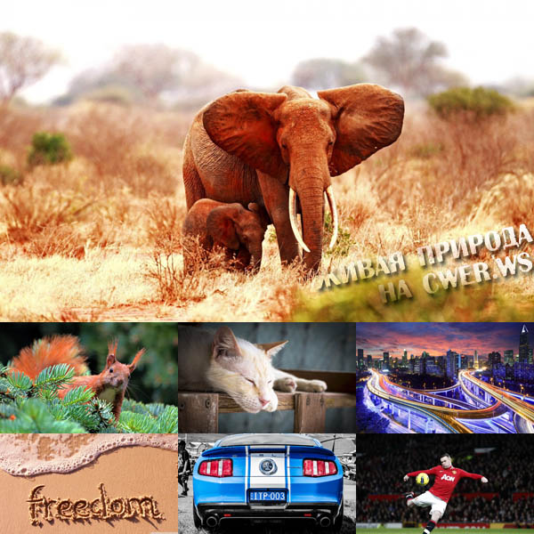 New Mixed HD Wallpapers Pack 110