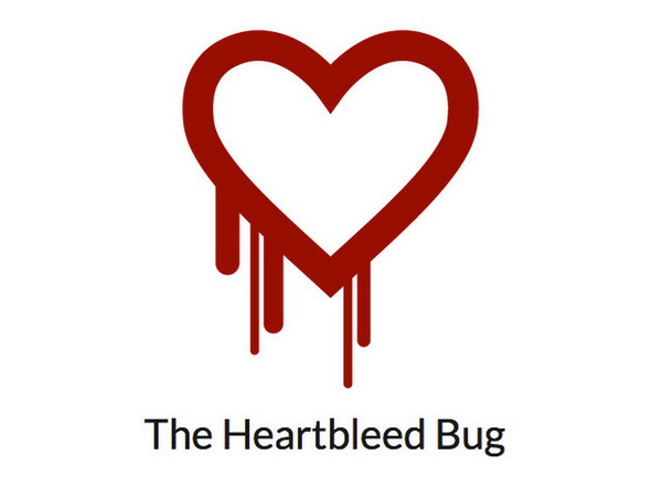 Heartbleed bug 1