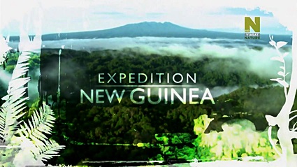 Экспедиция в Новую Гвинею