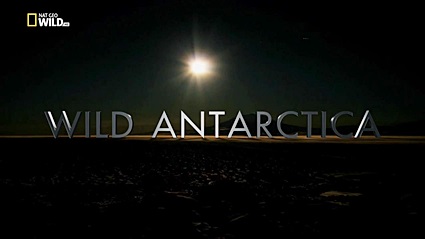 Дикая Антарктика