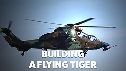 Создание летающего тигра