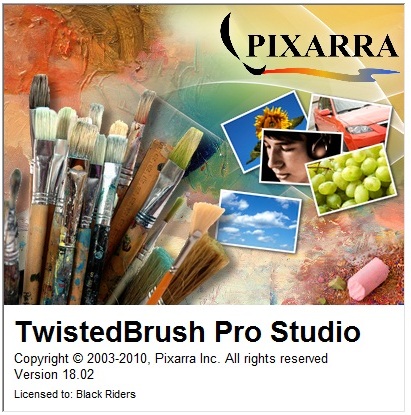 TwistedBrush Pro