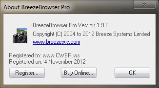 BreezeBrowser Pro 1.9.8