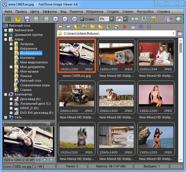 FastStone Image Viewer 4