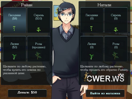 The Flower Shop: Winter in Fairbrook