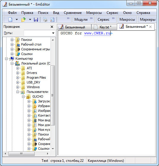 EmEditor Professional 11